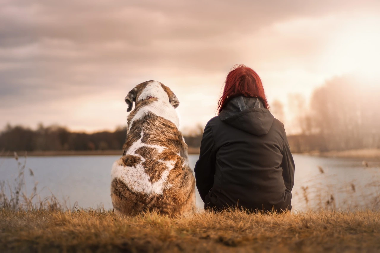 Les différentes mesures de protection de l'adulte