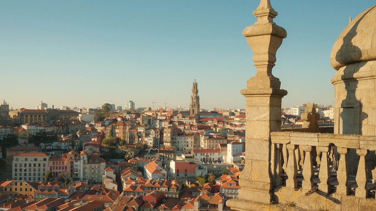 pexels-pixels-elements-35568448