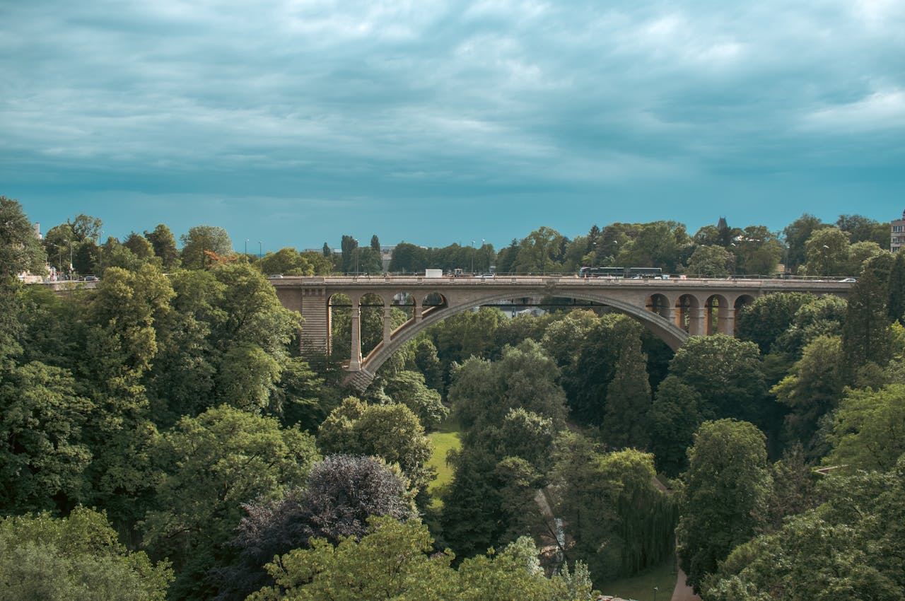 Pont traversant une forêt dense, symbolisant les différents choix d’investissement en assurance vie luxembourgeoise FID FAS ou fonds externes.