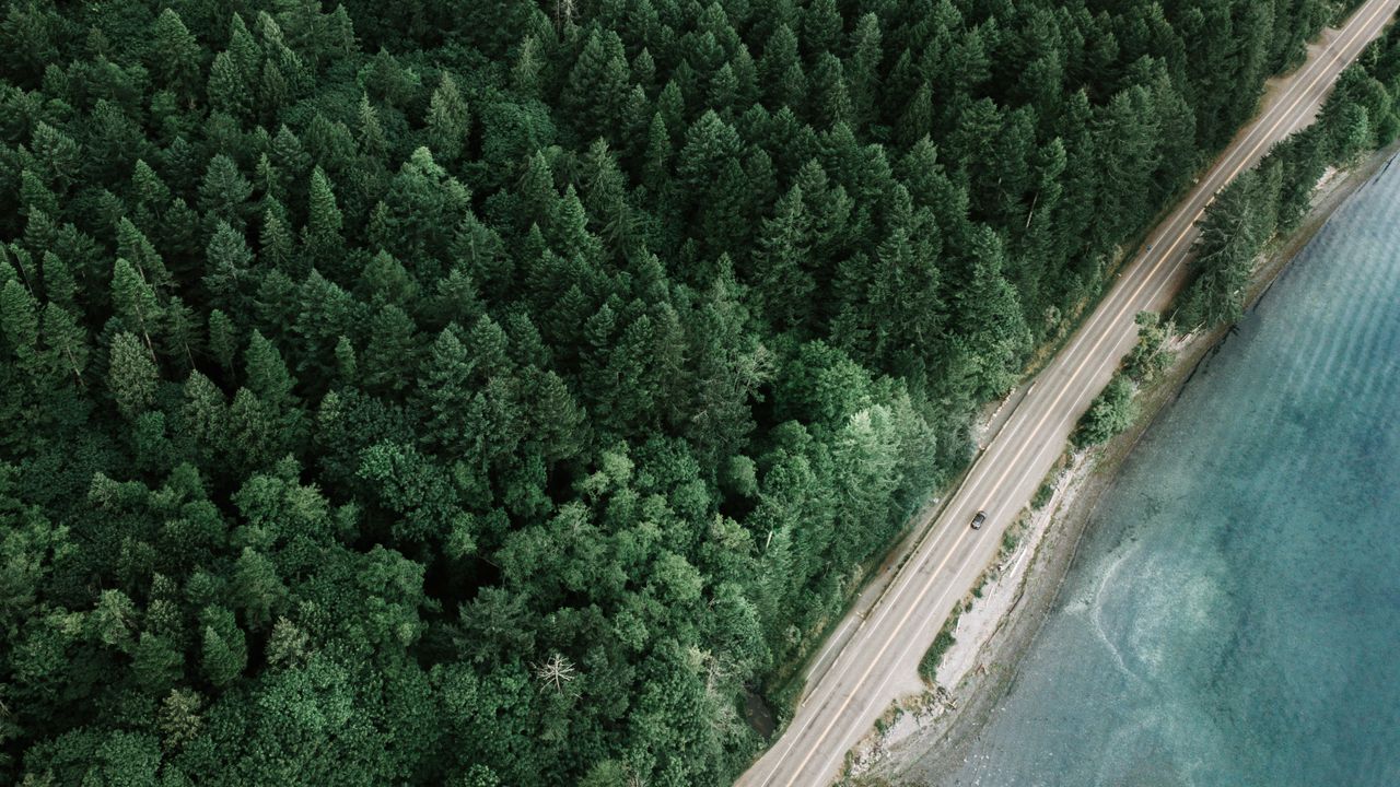 Route au milieu d’une forêt illustrant le groupement forestier et l’IFI du non-résident